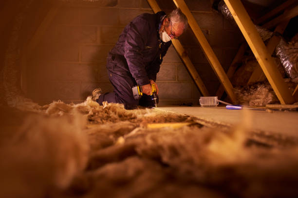 Best Residential Insulation in Tucumcari, NM