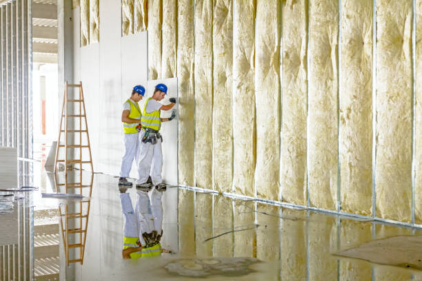 Best Commercial Insulation in Tucumcari, NM